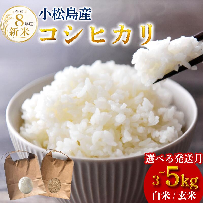 【ふるさと納税】 【令和8年産】コシヒカリ 3kg ~ 5kg 選べる 白米 玄米 米 3kg ~ 5kg こめ お米 産地直送 選べるお届け月 おすすめ 人気 備蓄 ご飯 ごはん 小松島 コシヒカリ