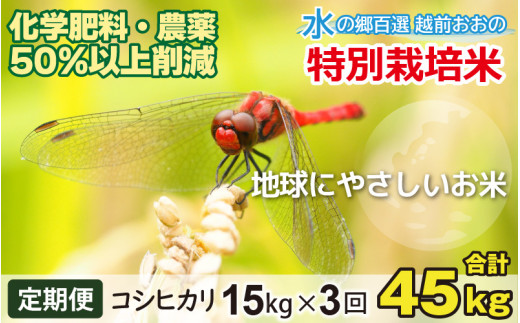 【令和7年産】【3ヶ月定期便】こしひかり 15kg ×3回 計 45kg【白米】　減農薬・減化学肥料 「特別栽培米」－地球にやさしいお米－