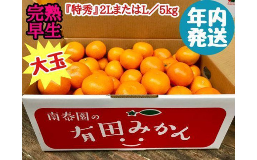 
                  年内発送 完熟早生 有田みかん 大玉 特秀 2L または L サイズ 5kg 和歌山 南泰園 みかん
                