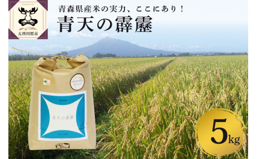 【令和7年 新米 先行受付】米 青天の霹靂 5kg 特別栽培米 青森県産 【2025年11月より順次発送】【KonRiceFarmの お米 晴天の霹靂 青森 五所川原 】