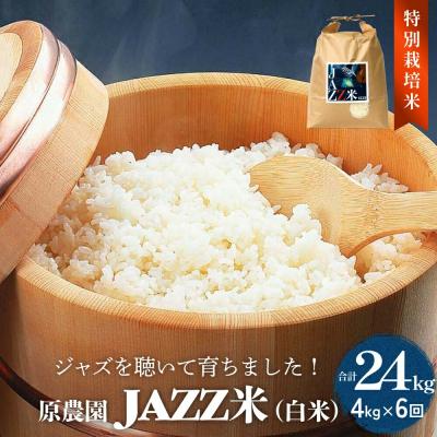 ふるさと納税 玖珠町 《先行受付》令和7年産 原農園 JAZZ米 白米 4kg 6回定期便 品種おまかせ