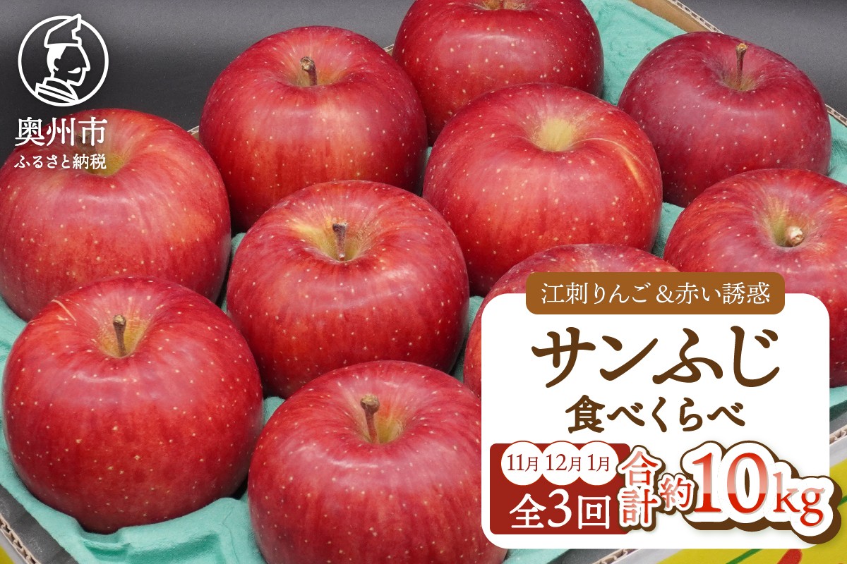 
            【定期便】 奥州市りんご3か月定期便 奥州市産「サンふじ」 11月～翌年1月お届け 江刺 赤い誘惑 フルーツ 果物 林檎 常温配送 期間限定 数量限定 [AQ097]
          