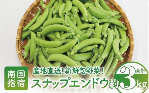 2025年2月中旬頃～発送【産地直送！新鮮旬野菜！】ご家庭用スナップエンドウ約3kg(指宿促成青果/A-415) スナップ エンドウ 野菜 旬 旬野菜 春 サラダ 天ぷら 炒め物 新鮮 指宿 鹿児島 いぶすき