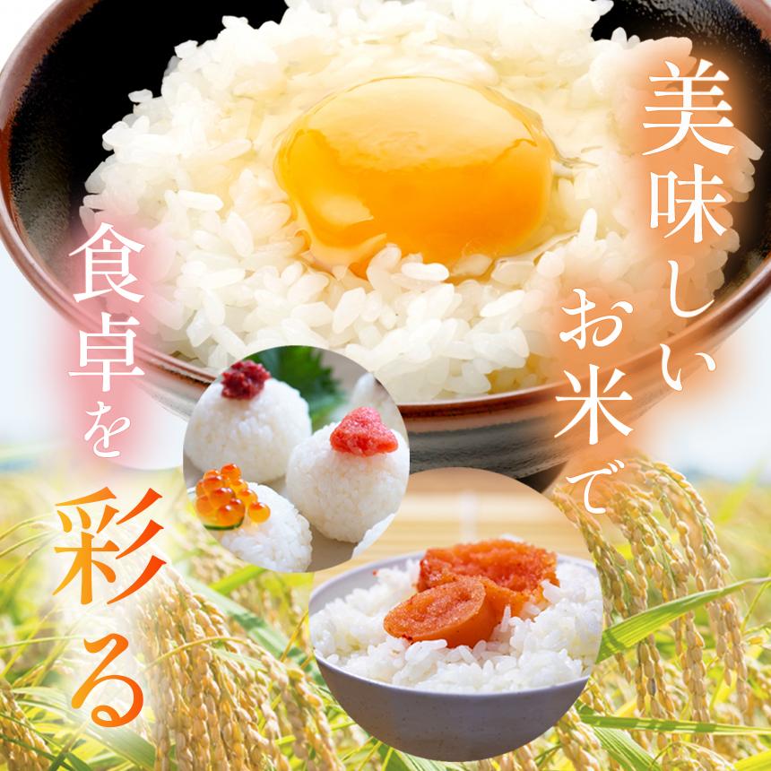 お米 令和8年産 こしひかり 白米 5kg【2026年 先行予約】 | 栃木県共通返礼品