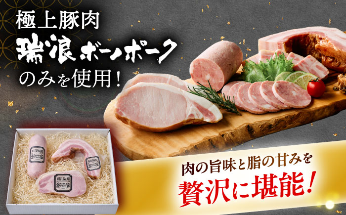 【3回定期便】 ハム・ベーコン ブロック 瑞浪ボーノポーク 工房長厳選！プレミアムセット 900g (冷凍) 瑞浪市 / きなぁた瑞浪 詰め合わせ ギフト [AZCI107]
