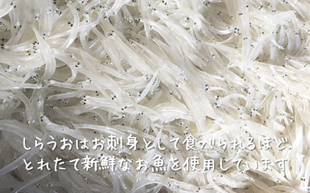 【期間限定】【秋田名産】うたせ舟 しらうおくるみ煮 （200g × 2パック）【佐藤徳太郎商店】