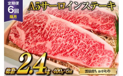 定期便 6回 牛肉 雲仙育ち おがわ牛 A5 サーロインステーキ 総計2.4kg(400g×6回) [焼肉おがわ 長崎県 雲仙市 item1598] ステーキ 黒毛和牛 冷凍