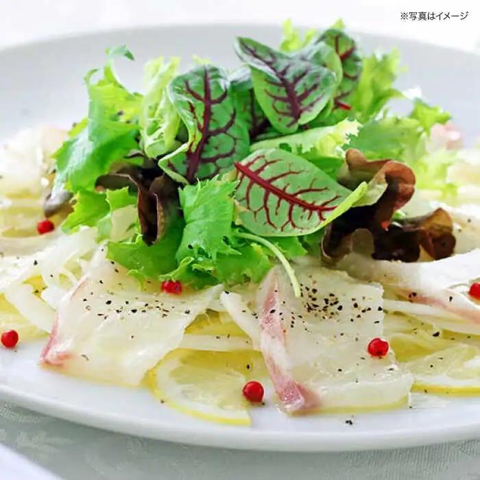 愛鯛 養殖真鯛1尾 冷凍 [AGDA001]