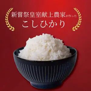 こしひかり 米 5kg 令和8年産【こしひかり】
