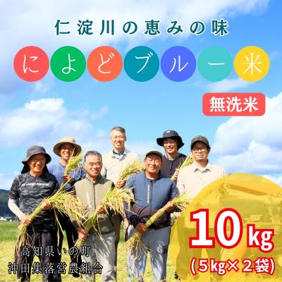 ふるさと納税 いの町 によどブルー米 5kg×2袋