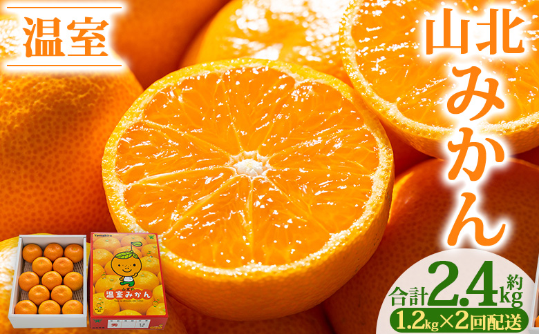 【2回定期便】山北温室みかん1.2kg Wku-0059
