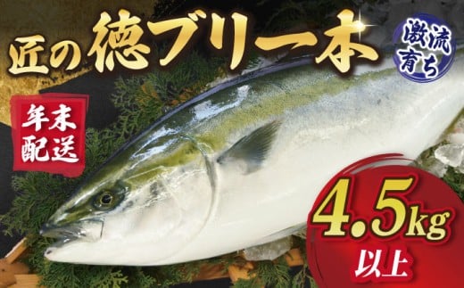 【年末配送！12/27～12/31着日指定必須】匠の徳ぶり 上五島産 （4.5kg以上） ぶり ブリ 鰤 ぶりしゃぶ しゃぶしゃぶ 刺身 鮮魚 海鮮 魚 五島 五島列島 上五島 長崎 国産 新鮮 養殖 冷蔵 鍋 海鮮鍋 贈答 年末 正月 年内配送 日付指定可能 日付指定 年内発送 年内配送  【徳丸】 [RAC001]