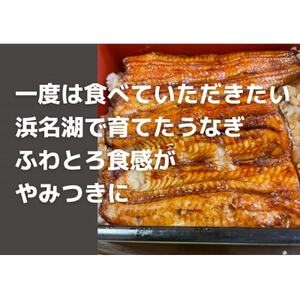 【浜名湖産】うなぎ蒲焼き(真空パック)×5本　タレ・山椒付・お吸い物付【配送不可地域：離島】【1398867】