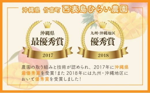 2027年 先行予約 アップルマンゴー 約700g 2玉 西表島ひらい農園 マンゴー 果物 フルーツ　027-a005-2027