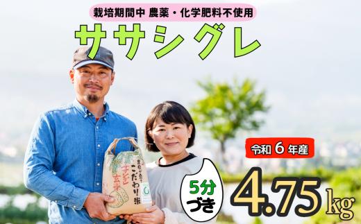 令和６年産 【栽培期間中 農薬・化学肥料不使用】ササシグレ(5分づき)4.75kg真空包装(6-51A)