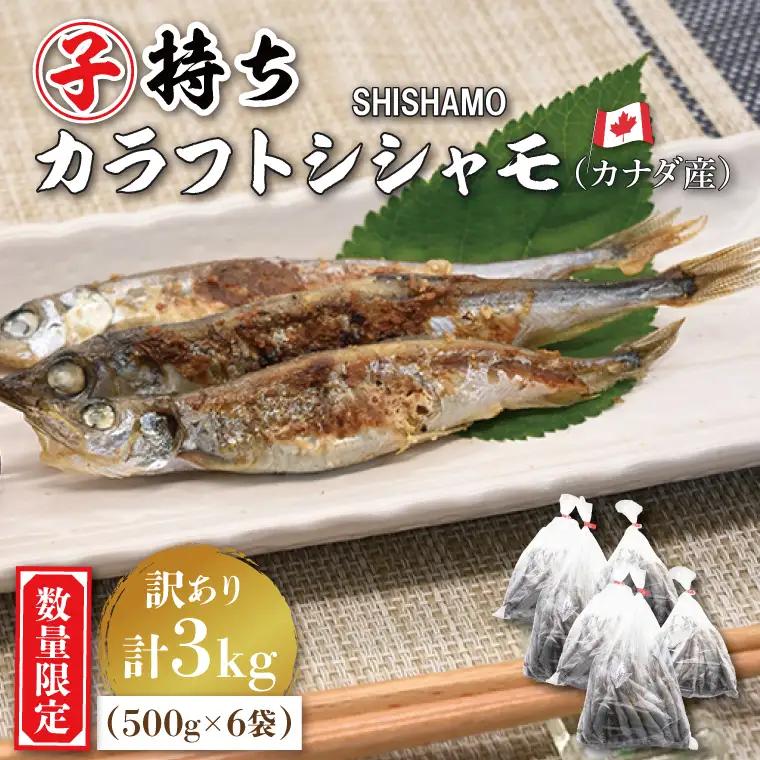 【数量限定！】 子持ち カラフトシシャモ 3kg (500g×6袋) 訳アリ シシャモ ししゃも カラフトししゃも 大洗 規格外 訳あり わけあり 傷_AV011