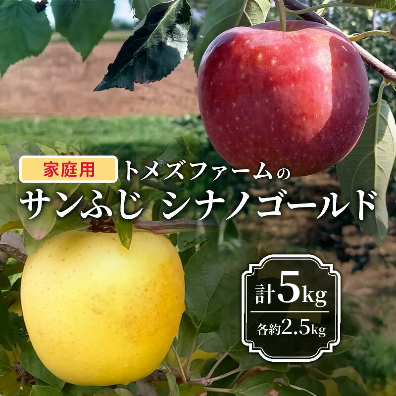 【ふるさと納税】サンふじ・シナノゴールド詰合せ（家庭用） 各約2.5kg 計5kg　トメズファーム　りんご　長野　信州　小諸　果物　フルーツ　食べ比べ　お届け：2026年11月下旬より順次発送致します。