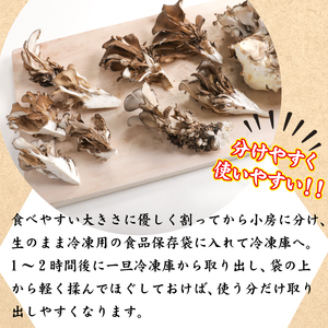 生まいたけ丸ごと一株 約800g・乾燥まいたけ 20g×2【安比まいたけ】 ／ 舞茸 マイタケ きのこ キノコ 茸