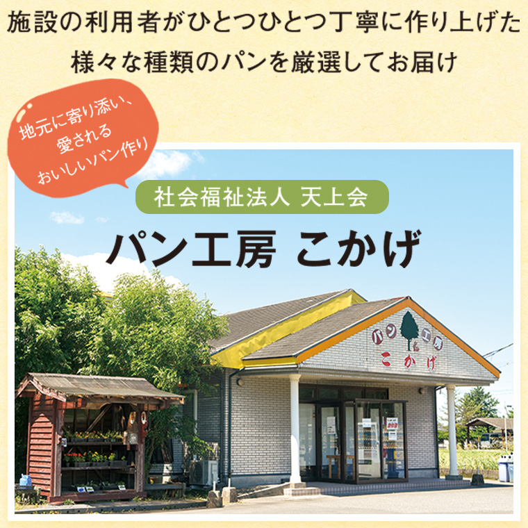 【P65001】大隅産モリンガパンハーフセット_イメージ3
