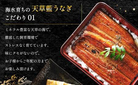  【ミシュラン1つ星店 採用】うなぎ 数量限定!! 海水育ちの天草藍うなぎ 超特大 紅白 5～7尾 セット【合計約1kg】 天草藍うなぎ 天草うなぎ 国産うなぎ 熊本県産うなぎ