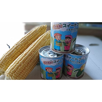 2023年2月発送開始『定期便』あびらのスイートコーン缶 24個入り 全3回
