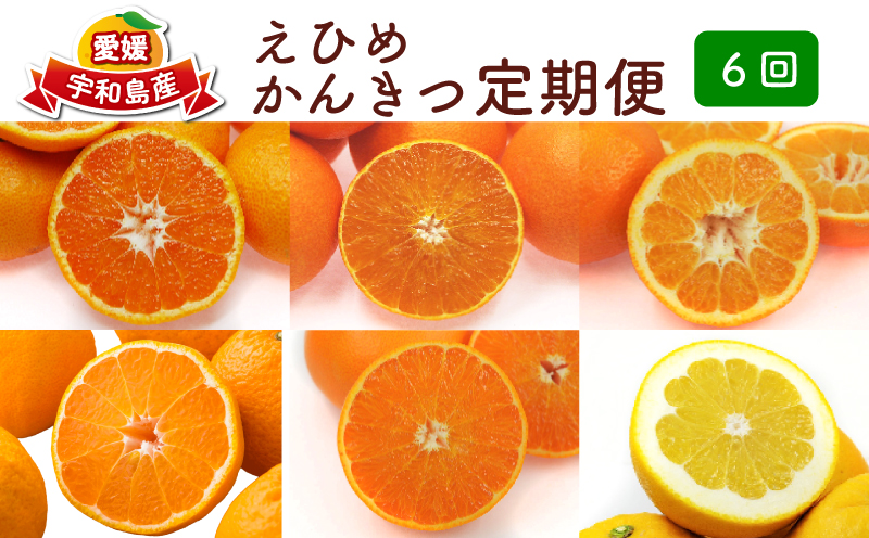 みかん定期便 6回 愛媛みかん えひめ かんきつ 定期便 愛媛県観光物産協会 みかん mikan 愛媛蜜柑 愛媛ミカン 日の丸みかん 紅まどんな 伊予柑 デコポン せとか 河内晩柑 サイズ ミックス 