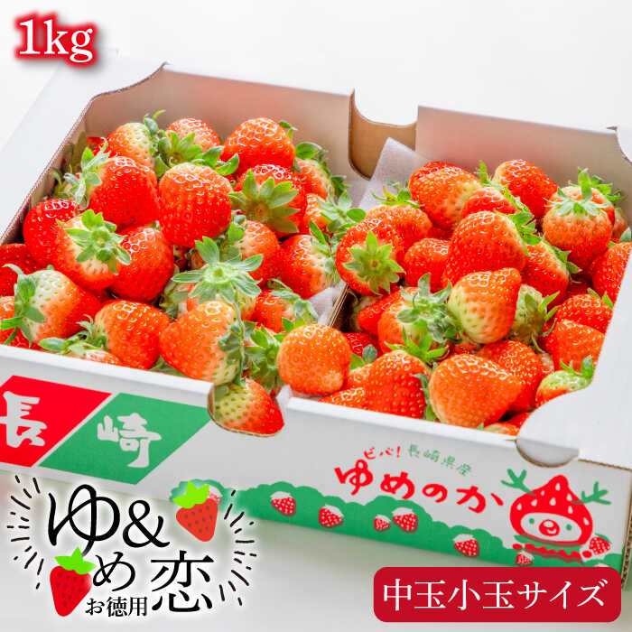 【ふるさと納税】【先行予約】お徳用 バラ詰め イチゴ 1kg （ゆめのか・恋みのり）【2026年2月以降順次発送】《壱岐市》【蒼花】[JEO002] いちご イチゴ 苺 フルーツ 果物 スムージー ジャム ゆめのか 恋みのり セット 食べ比べ 冷蔵 訳あり 10000 10000円 冷蔵配送