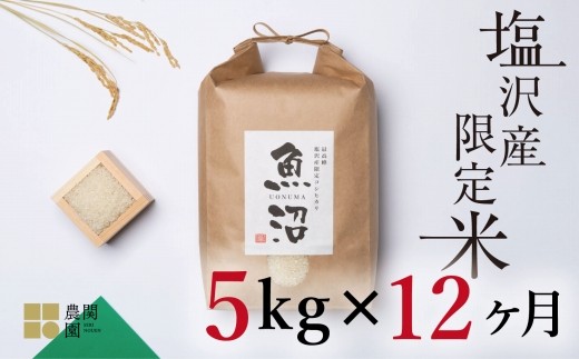 
                  【定期便令和7年産】南魚沼コシヒカリ５kg×全12回　旧塩沢地区限定米【定期便 銘柄米 ブランド米 精米 こしひかり コシヒカリ 魚沼産 新潟米 産地直送 お米 米 こめ コメ ご飯 御飯 ごはん】
                