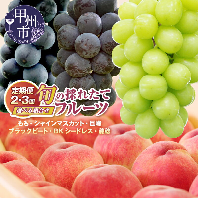 【ふるさと納税】 2026年 先行予約 フルーツ 定期便 シャインマスカット 桃 ぶどう お試し 選べる 回数 組み合わせ 2回 3回 巨峰 ブラックビート BKシードレス 藤稔 果物 朝もぎ 新鮮 ふるさと納税 ランキング 数量限定 まずはお試し クール 甲州市 食べきり 少量 （HO）