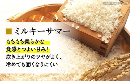 【すぐ届く】令和6年産 米 ミルキーサマー 5kg [APBA030] 令和6年産 ミルキー 令和6年産 ミルキー 