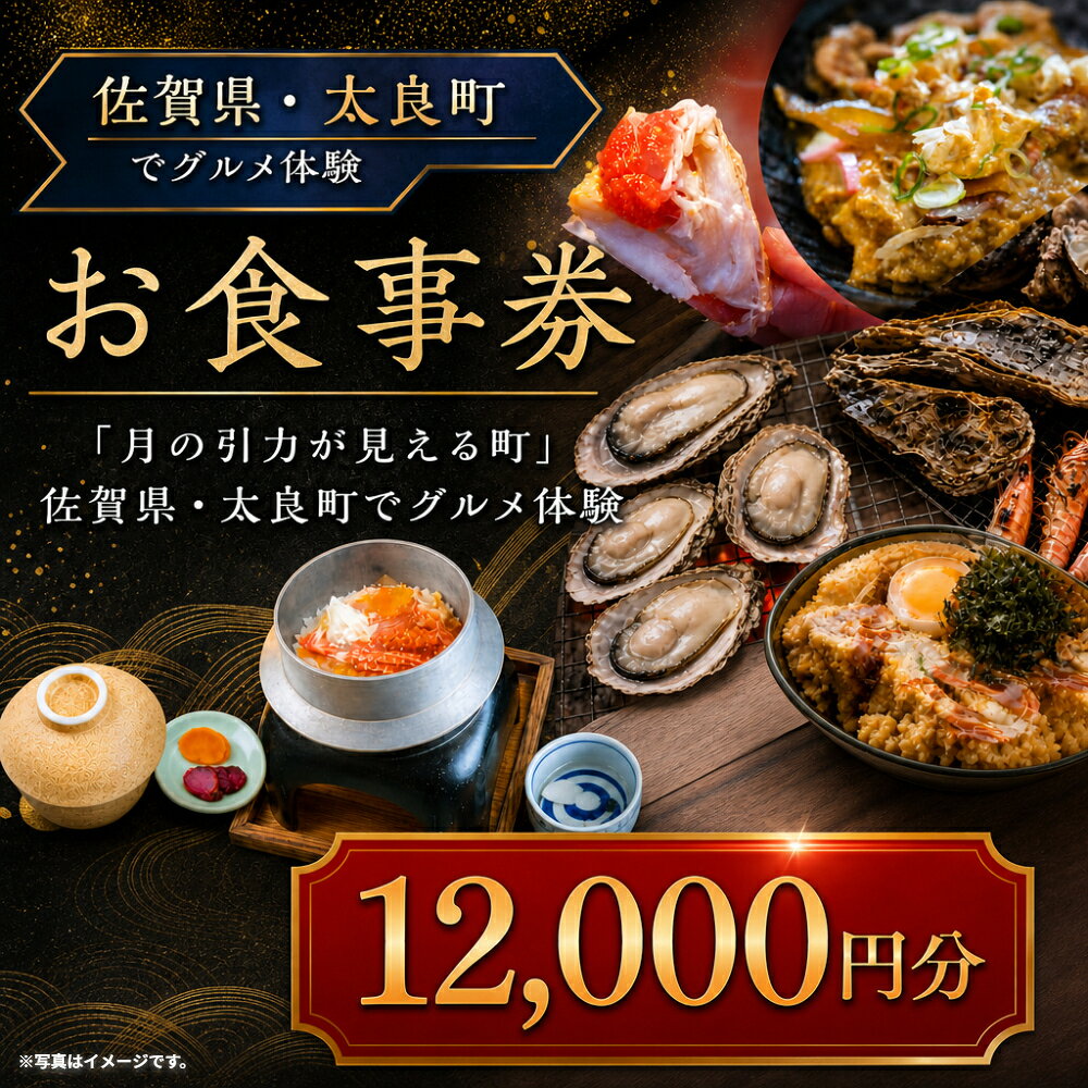 【ふるさと納税】【お食事券】 「月の引力が見える町」 佐賀県・太良町でグルメ体験 12,000円分 （1,000円券 × 12枚） 【7営業日以内発送】 食事券 お食事券 グルメ体験 券 チケット 体験チケット 佐賀県 太良町 QN3