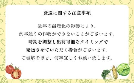 季節のオーガニック農産物（有機認証農産物）5種～ | 野菜 オーガニック
