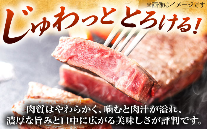 【全6回定期便】【A4～A5】博多和牛 サーロインステーキ 1kg(250g×4枚) 吉富町/株式会社MEAT PLUS [BGAB119] 牛肉 サーロインステーキ さーろいんすてーき サーロイン