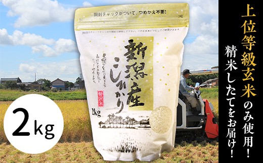 
                  米 2kg 新潟 コシヒカリ 精米 白米 お米 新潟こしひかり 新潟県産コシヒカリ 令和7年産 31-K21新潟県産コシヒカリ2kg
                