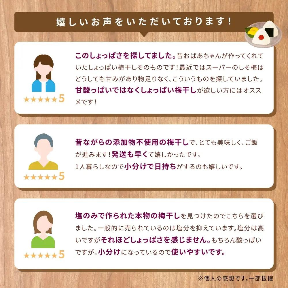 梅干し 小分け 南高梅 無添加 しそ漬け梅干し 110g×5【frsn0003B】