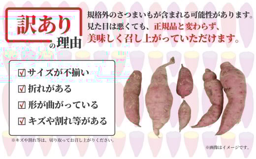 訳あり 紅はるか 9kg 11月以降発送 開始 さつまいも 訳アリ 訳有 サツマイモ 薩摩芋 さつま芋 デザート べにはるか スイーツ 甘芋 スイートポテト sweet potato 蜜 蜜芋 芋 イ