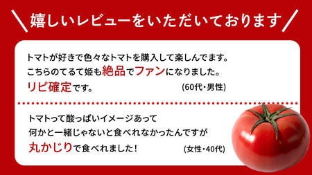 【母の日専用】 スーパーフルーツトマト てるて姫 中箱 約1.2kg ×1箱 糖度9度以上 《5月4日～10日お届け メッセージカード付》 [BC095sa]