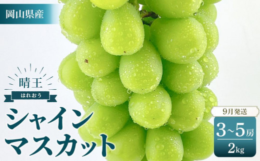 2026年　　受付中　シャインマスカット　晴王　約2kg（3～5房）【岡山県産 種無し 皮ごと食べる みずみずしい 甘い フレッシュ 9月～10月発送 晴れの国 おかやま ぶどう 葡萄 マスカット 果物大国 彩美菜果  岡山県 岡山市 おすすめ 人気】