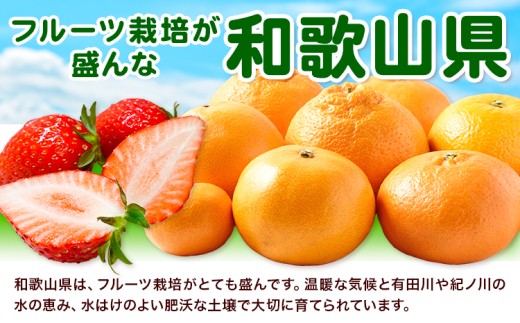 紀州和歌山 有田レモン 約2kg 有田マルシェ《2026年9月下旬-2027年2月下旬頃発送予定》 和歌山県 日高町 れもん 檸檬 フルーツ ギフト 送料無料