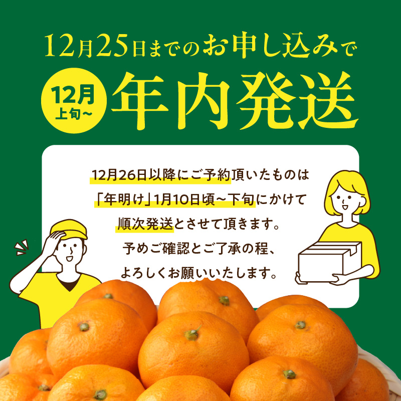 YA1004_完熟 アルギット みかん 10kg S～M サイズ