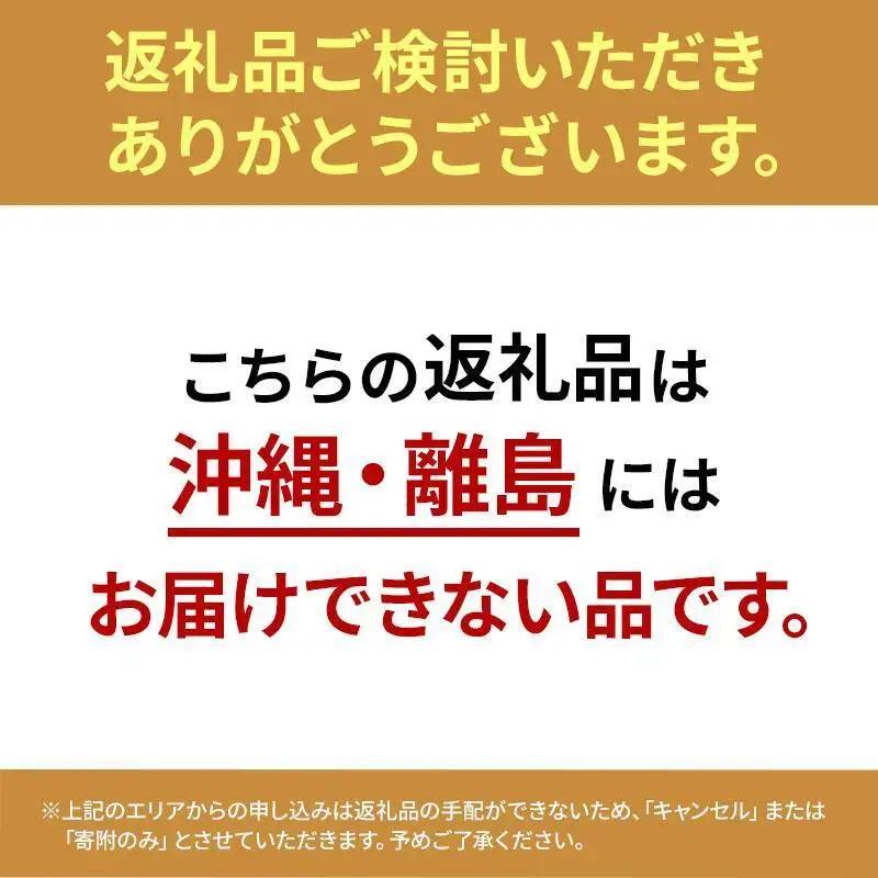 【7/28～寄附額値上げ】強炭酸水 【2か月定期便】ラベルレス 500ml 24本 炭酸