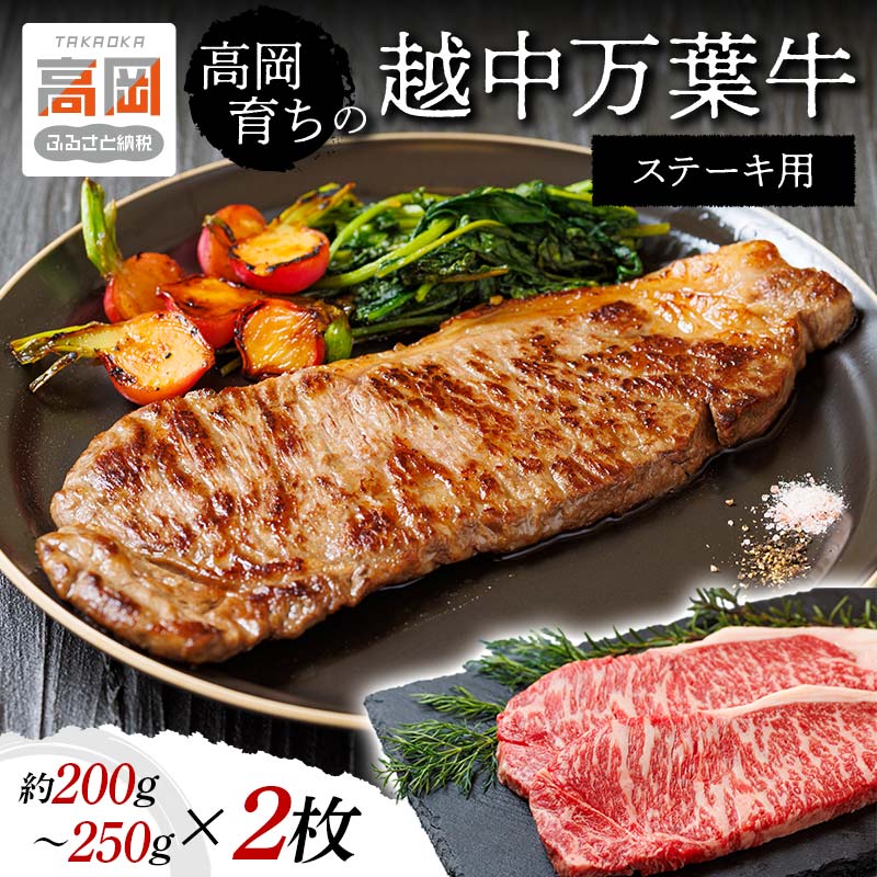 【ふるさと納税】高岡育ちの越中万葉牛 ステーキ用200g〜250g×2枚 サーロイン 肉 牛肉 ステーキ 国産 富山 お肉 サーロインステーキ FAD-0076