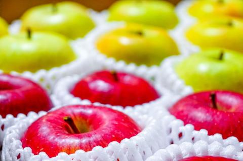 【2026年4月上旬発送】りんご 春のサンふじ王林特選5kgスマートフレッシュTM貯蔵