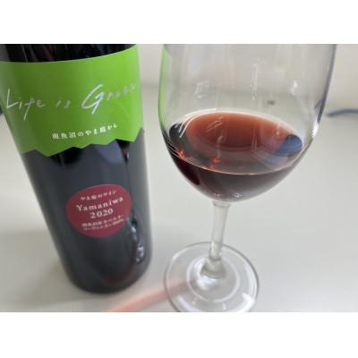 ふるさと納税 南魚沼市 限定10セット※南魚沼産カベルネ2017・2020・2022 熟成の深まりと栽培の進化を愉しむ3本 |  | 01