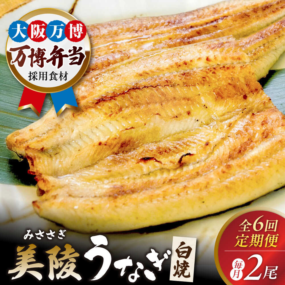 【ふるさと納税】【全6回定期便】鰻 鰻の白焼 2尾 / 美陵鰻 うなぎ ウナギ 蒲焼 蒲焼き かば焼き かばやき 白焼き しろやき しらやき 特大 肉厚 うな重 うな丼 惣菜 ギフト プレゼント 贈答 国産 / 大阪府藤井寺市/Giverichホールディングス株式会社[BLAM009]
