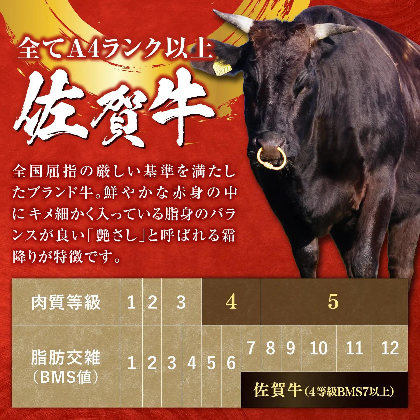 厳選佐賀牛 赤身ステーキ500g / 有限会社片岡精肉店 [41AEAC015]