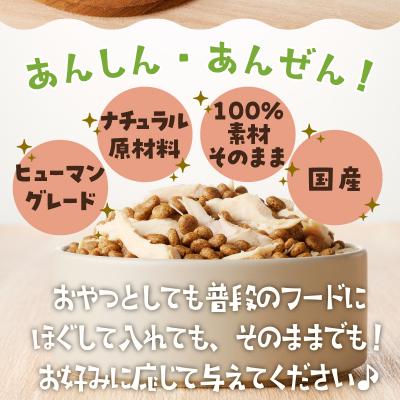 ふるさと納税 焼津市 わんこ様用8点セット(a16-135) |  | 02