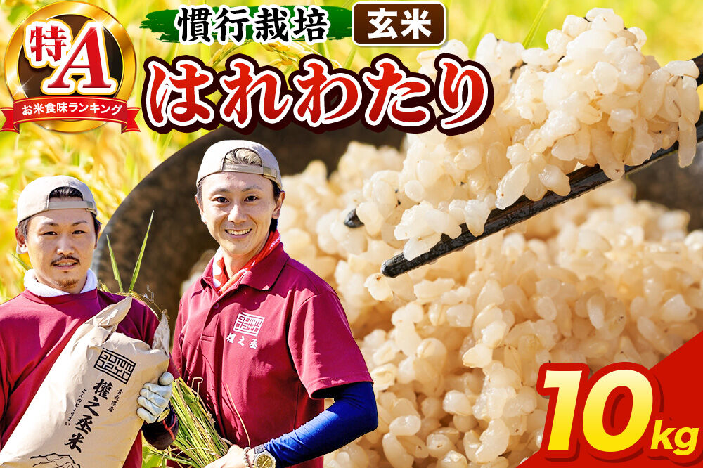 米 はれわたり 10kg［玄米］特A 慣行栽培 青森県産 令和7年産 [お米 東北 玄米 青森県 弘前市 ブランド米]
