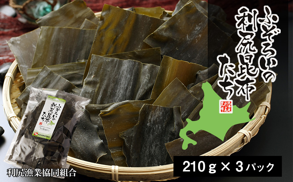 《利尻漁業協同組合》ふぞろいの利尻昆布たち 3袋