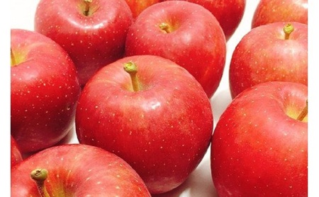 【先行予約2025年10月 発送開始】早生 ふじ 特選 約 3kg りんご 青森 産　